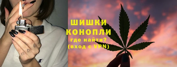 гашиш Богданович